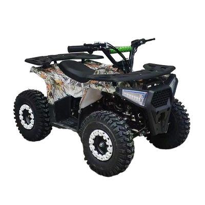 Potente 125cc Gasoline Adult ATV Quad Bike con 12V Voltage e peso di 100-200kg