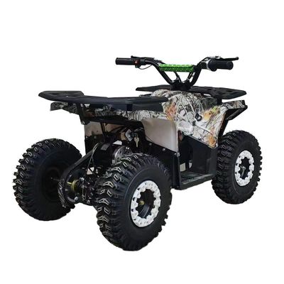 Potente 125cc Gasoline Adult ATV Quad Bike con 12V Voltage e peso di 100-200kg