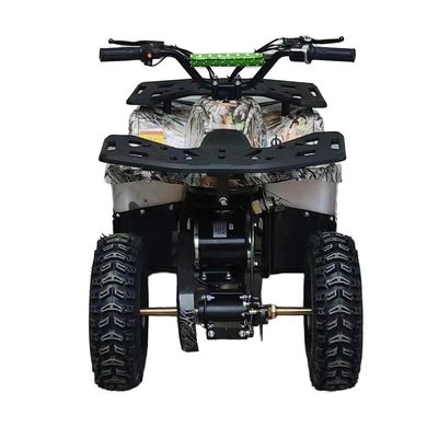Potente 125cc Gasoline Adult ATV Quad Bike con 12V Voltage e peso di 100-200kg