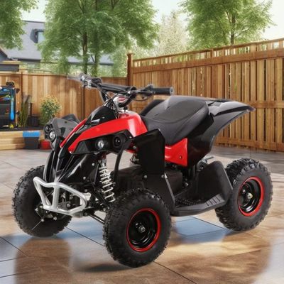 1000W Electric ATV Automatic Quad Bike per escursioni off-road in montagna