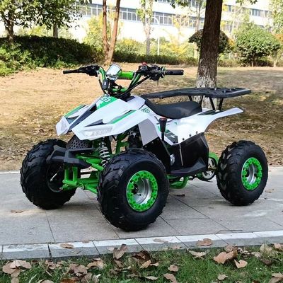 1250*760*800MM 110CC Disposizione ATV per bambini con avvio elettrico e trazione a catena