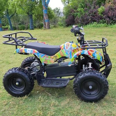 Sistema di trasmissione dell'albero 500w Kids Racing ATV Quad per bambini 2WD Potenza elettrica