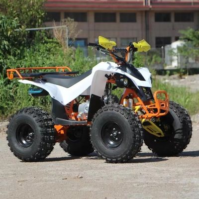 Quattro ruote con certificazione CE 110cc 125cc 150cc 4 tempi a gas Kids ATV