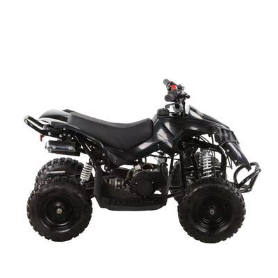 49cc Kids ATV 4 ruote Kids 4x4 Side by Side Mini ATV con trasmissione a catena