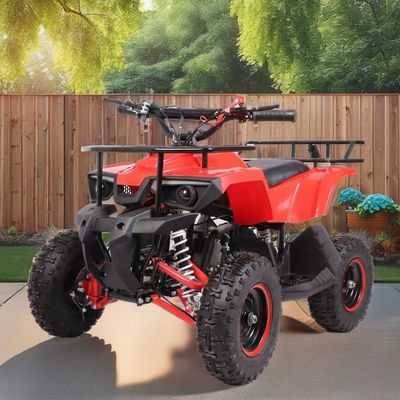Mini Quad di 49 CC con basso consumo di carburante Torsione massima Nm ≤20Nm Gas combustibile / diesel