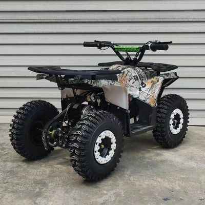 Autoveicoli a benzina per adulti 2x4 con motore da 110cc a 150cc e velocità massima ≤50Km/h