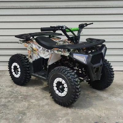 Autoveicoli a benzina per adulti 2x4 con motore da 110cc a 150cc e velocità massima ≤50Km/h
