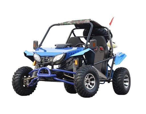 200cc Go Karts ATV Quad 2WD Off-Road Buggy con pneumatici a vuoto e 200-300kg di peso a bordo