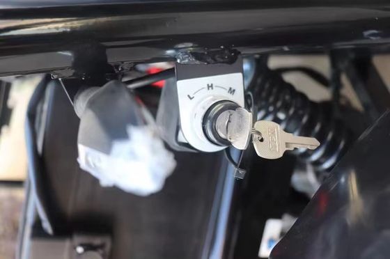 Carro elettrico a due posti con sistema di freno a disco anteriore e a disco posteriore e tensione di 60V