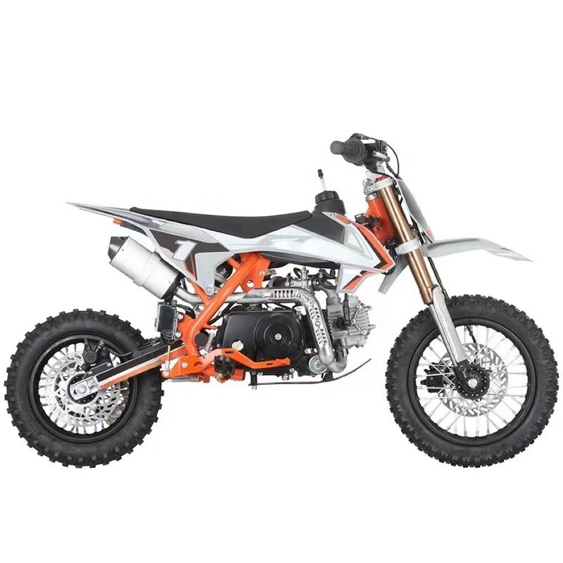 4 tempi 70cc 90cc 110cc Benzina Benzina Potenza Automatica EPA CE Pit Bike per Motocross