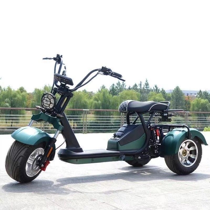 Scooter elettrico Citycoco Unisex 2000w con 3 ruote e 60-80 km di autonomia per carica