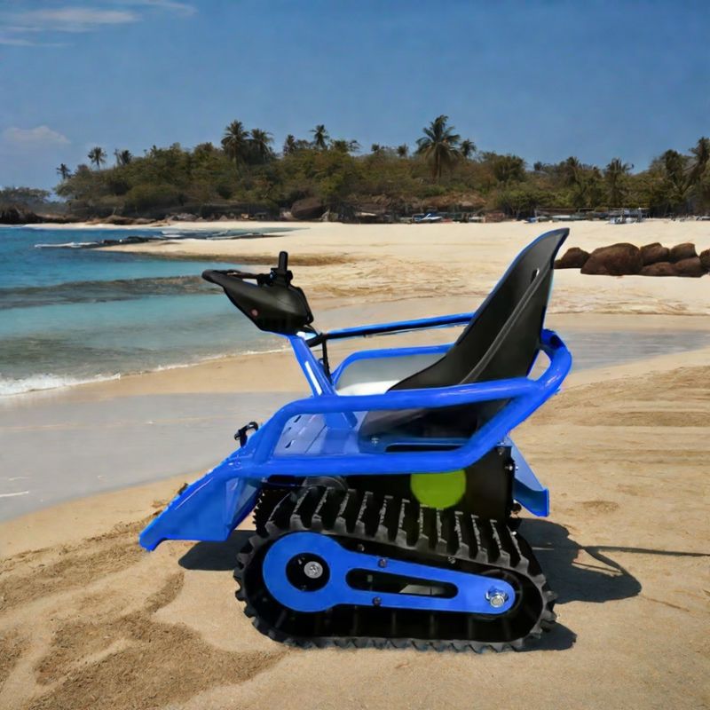 24V Voltage Children's Track Electric Beach Kart con piccolo serbatoio e telecomando
