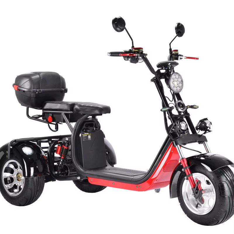 Citycoco 3 ruote scooter elettrico 3000w 2000 Watt Citycoco due posti a sedere Wide Wheel Road