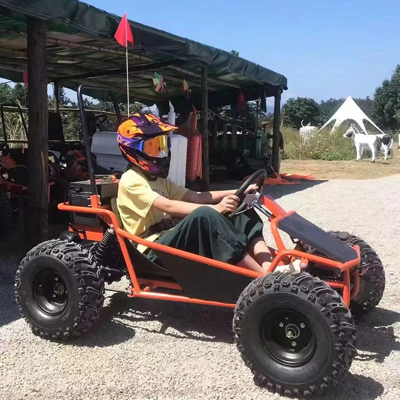 Parco di divertimenti noleggio Golf Buggy Cart con motore senza spazzole 1000W e certificazione CEE