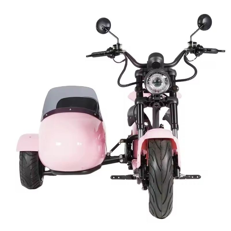 Motocicletta elettrica a sidecar con porta-animali 1000W-3000W 60-80km Portata 41-50km/h Velocità massima