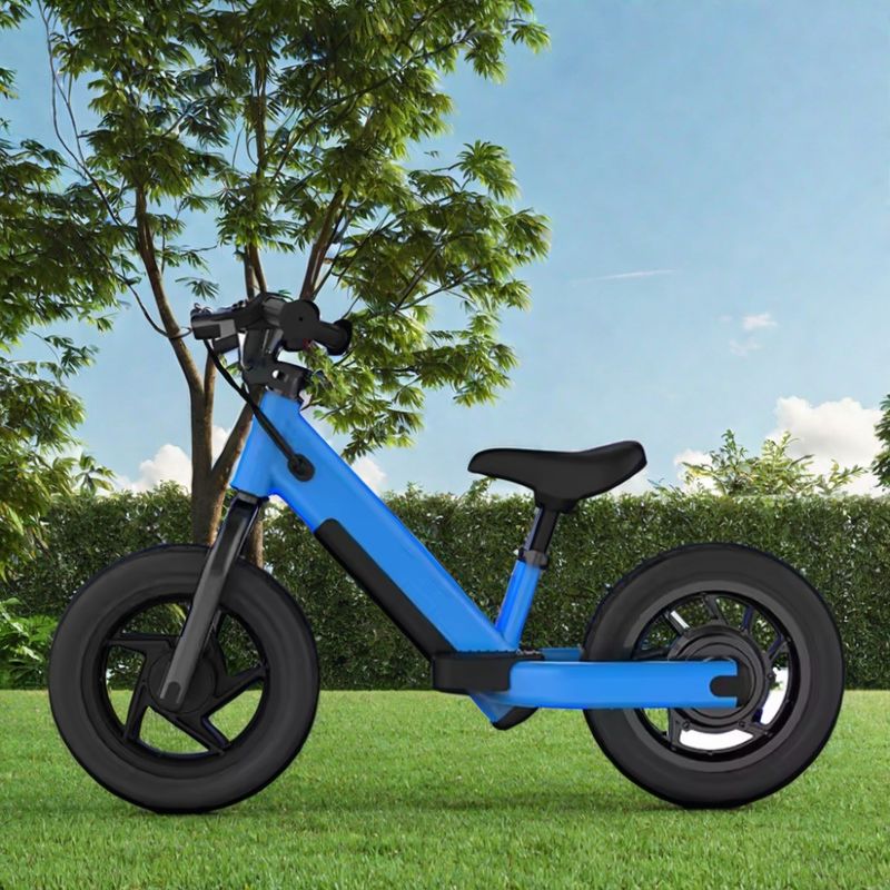 Bicicletta per bambini a bilanciamento a propulsione elettrica Mini bicicletta a disco freno e telaio in acciaio per bambini piccoli