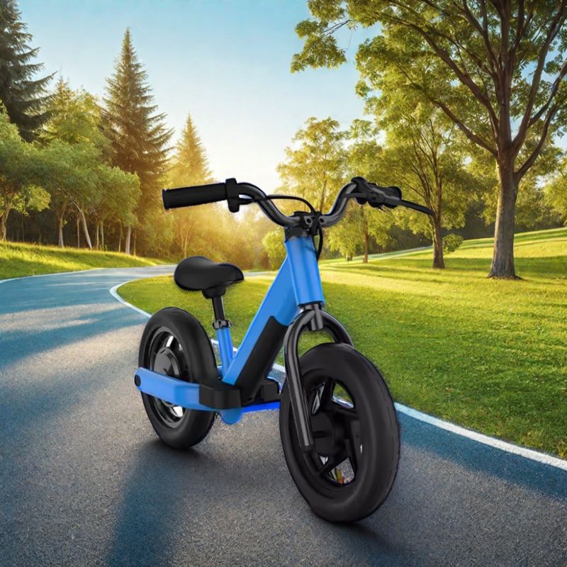 Avventura fuoristrada resa facile con una bici elettrica da 200W e una batteria da 24V