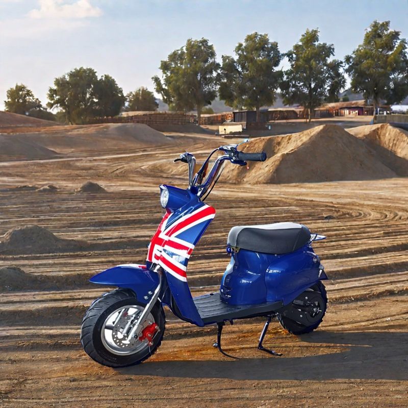 DISC Freno 49cc Mini Dirt Bike a gas per il divertimento all'aperto dei bambini in colori personalizzati