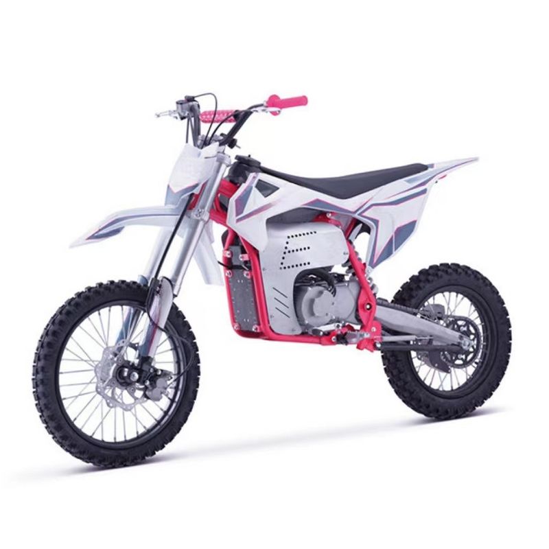 Motocicletta elettrica fuoristrada 2000W 48V 60V con batteria rimovibile e doppio freno ad olio