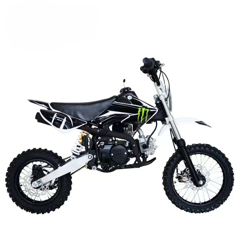 Motore Aotong 125CC 140CC 4 tempi a gas Offroad Dirt Motor Cross Pit Bike