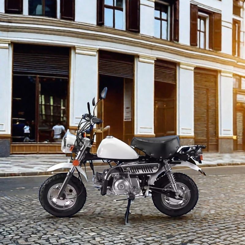 Off-Road Adventure 110cc Monkey Bike con certificato CE e colori personalizzati supportati