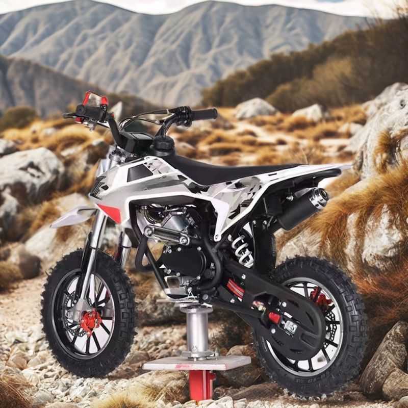 Colori personalizzati 60CC Motore 4 tempi bici sporca per bambini con freno DISC