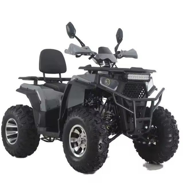Aotong GY6 Motor 200CC/250CC Automatic Quad Bike per adulti 10INCH/12INCH Farm ATV