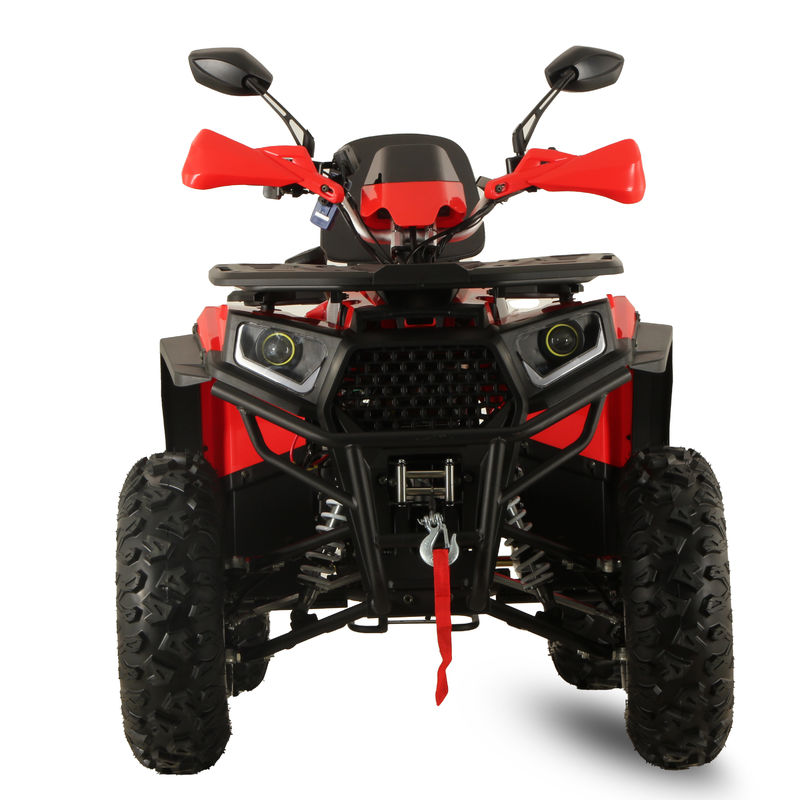 High Power GY6 200CC/250CC Automatic Quad Bike per adulti 10INCH Farm ATV Off Road