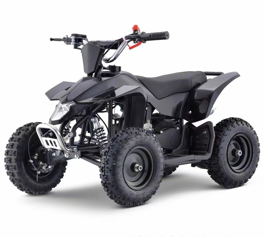 Aotong 49cc 50cc Kids Mini ATV Quadbike a quattro ruote con Pull Start Curb Peso ≤100kg