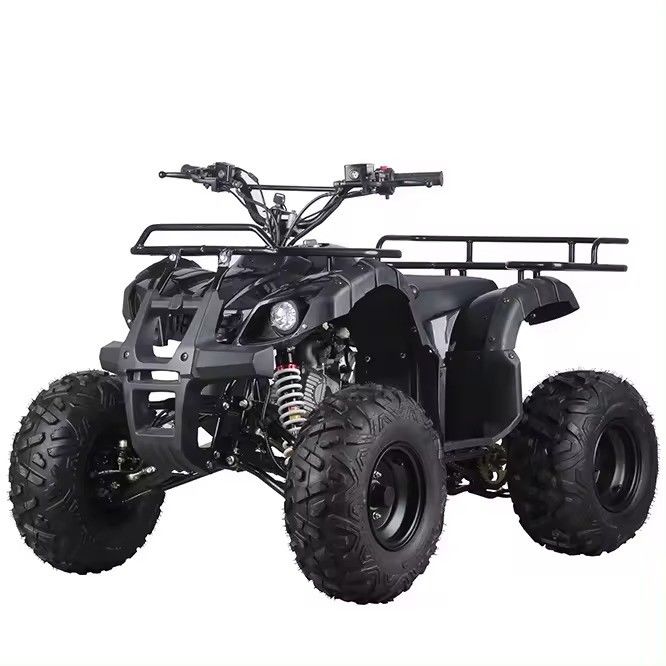 125cc 110cc Kids Atv Quad Mini Quad Motorbike per bambini inverso budget-friendly