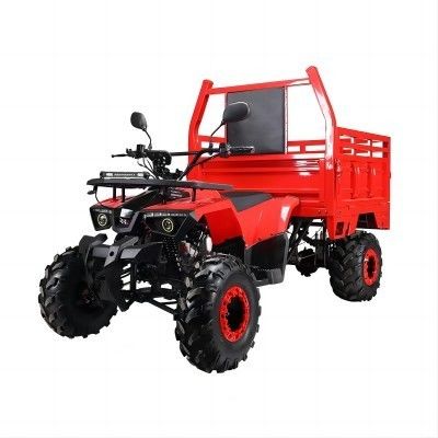 Farm ATV Aotong 125cc/150cc con rimorchio e scatola di carico 2WD 4WD Off Road ATV Voltage 12V
