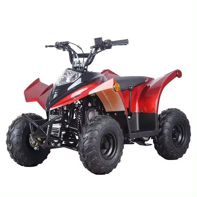 125cc ATV 110cc/70cc Automatico 4 tempi Adatto a 25° di grado di capacità e conveniente