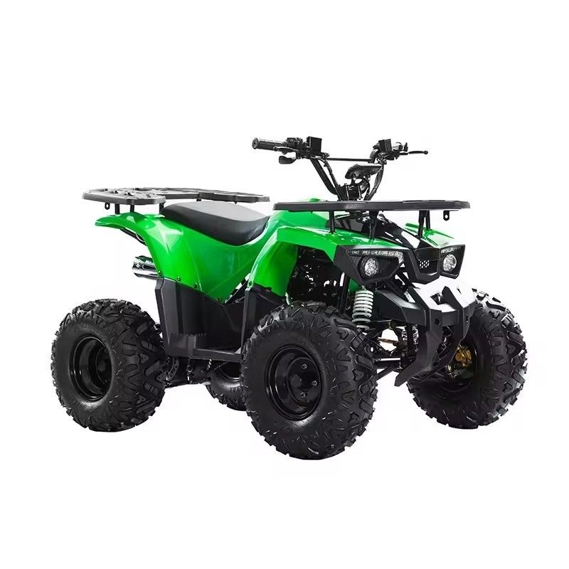 110cc 125cc ATV a trazione a catena con certificato CE Velocità massima 50-75Km/h e materiali