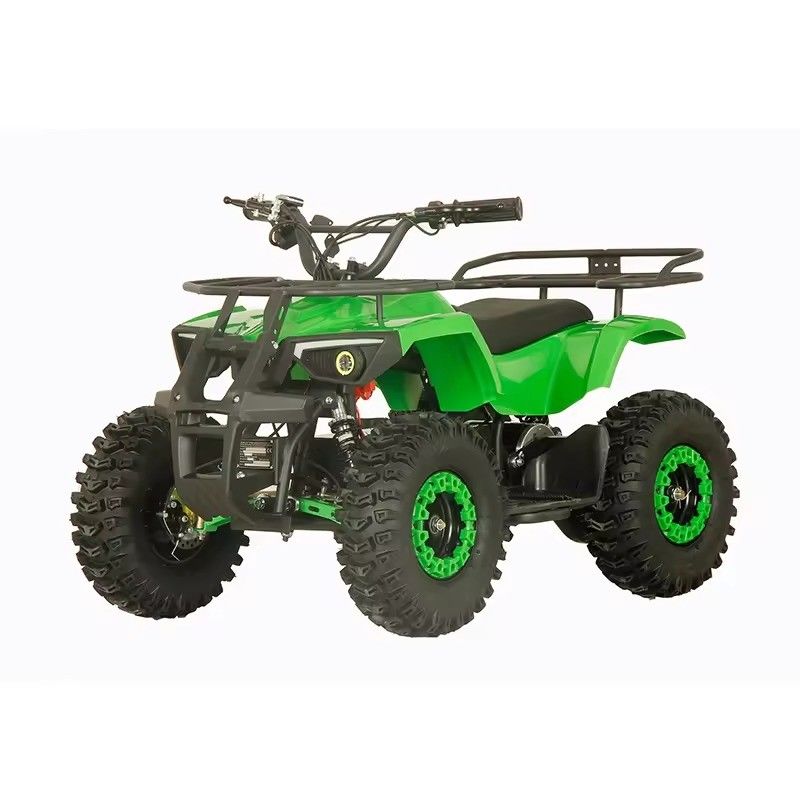 Street Legal 1200W ATV Quattro ruote Quad Bike con 2WD e 30-50km di chilometraggio