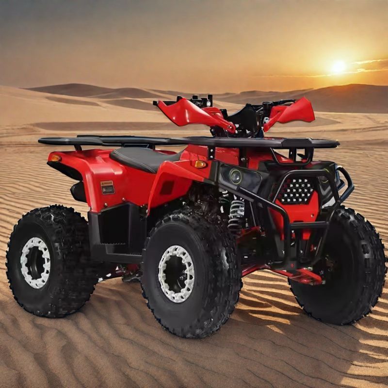 110cc 125cc Quad Bike 4 Wheeler Adventure ATV 4x2 Guida per adulti Facile da manovrare