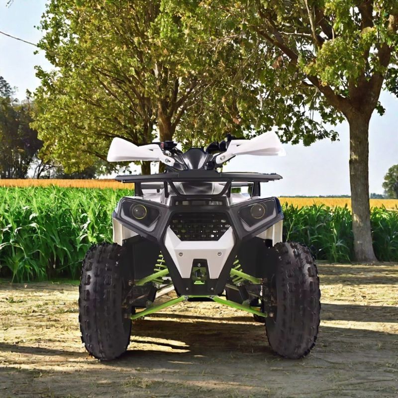 125cc a gas Utility ATV Quad Bike con spazio libero minimo di 100-150mm