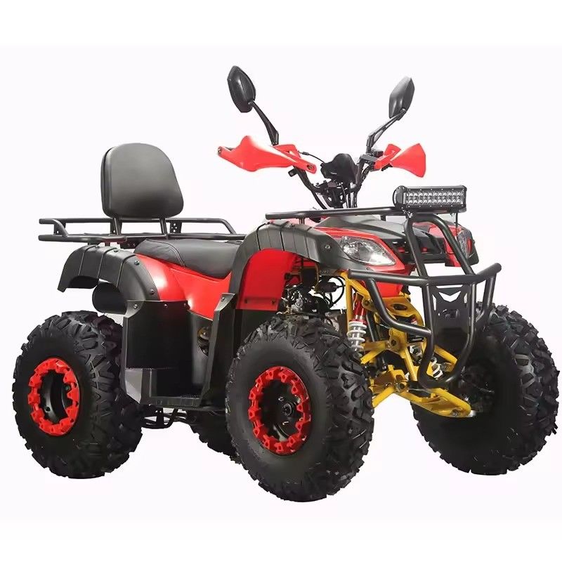 Trasmissione a catena 150cc 200cc 250cc 2x4 ATV Quad per adulti con CE ed efficienza