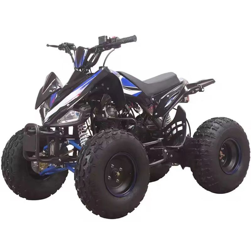 110cc 125cc 4 tempi a catena a quattro ruote quadriciclo con 145/70-6 Dimensione pneumatica e CE