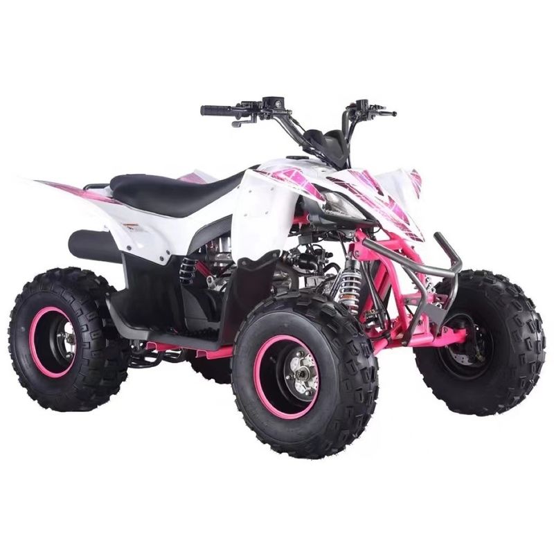 125cc Aotong Motor ATV Farm Quad Bike Trasmissione automatica Colori personalizzati supportati