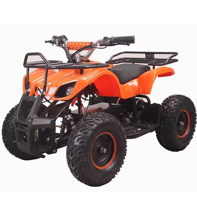 800W Electric Mini Kids Racing ATV con Rack Quad Bike Perfetto per la capacità di classificazione ≥25°