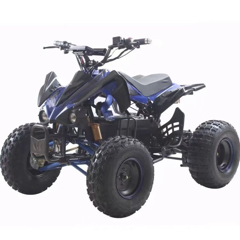 Electric 4 Wheel Kids Quad Bike ATV con 1000W 48V/60V Aft Drive Motore senza spazzole