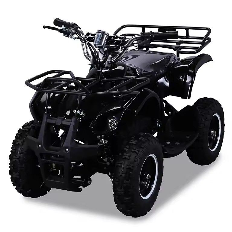 600-1000 mm di passo 36V 800W Mini ATV elettrico con CE e trasmissione a catena