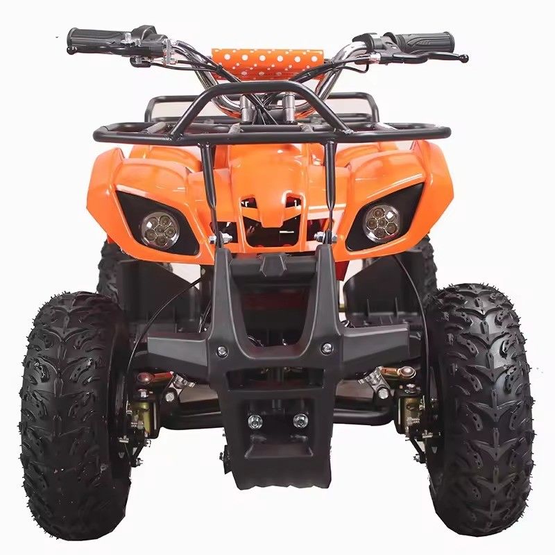 Adolescenti e adulti ATVS elettrico 48V 1000W Aotong Motor Made In con certificazione CE