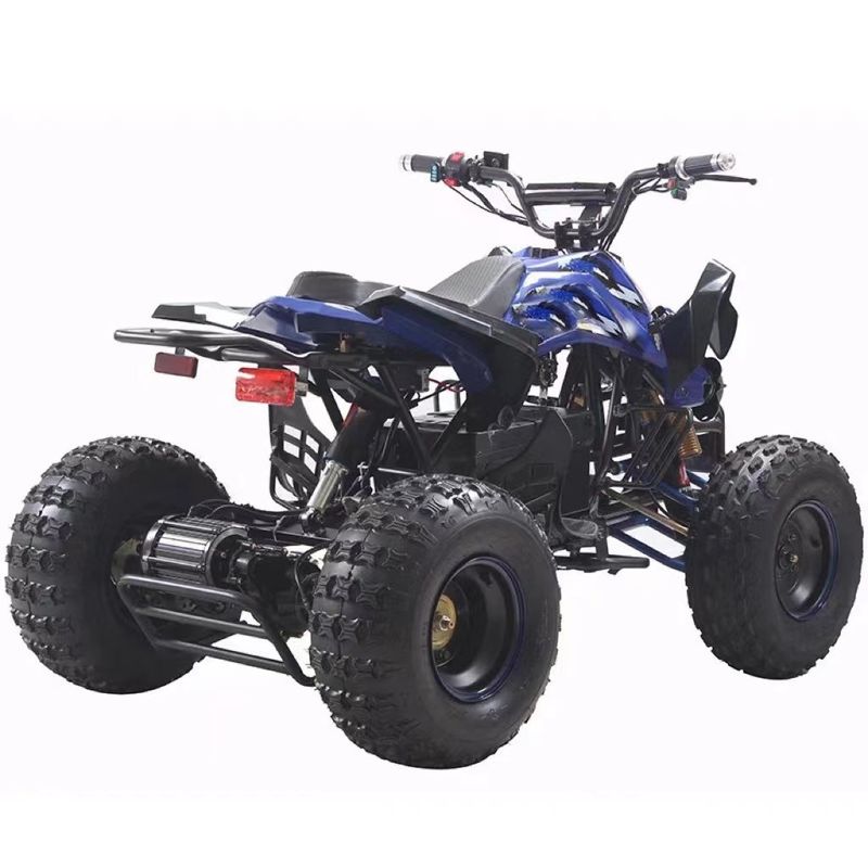 48v 1000w E-ATV a azionamento a trazione con motore senza spazzola e spazio libero minimo di 150-200 mm