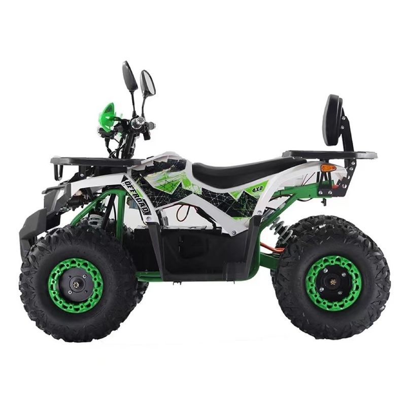 Tipo di guida a 2 ruote Aotong Motor 1000W Electric Side by Side ATV con batteria 60V 20AH