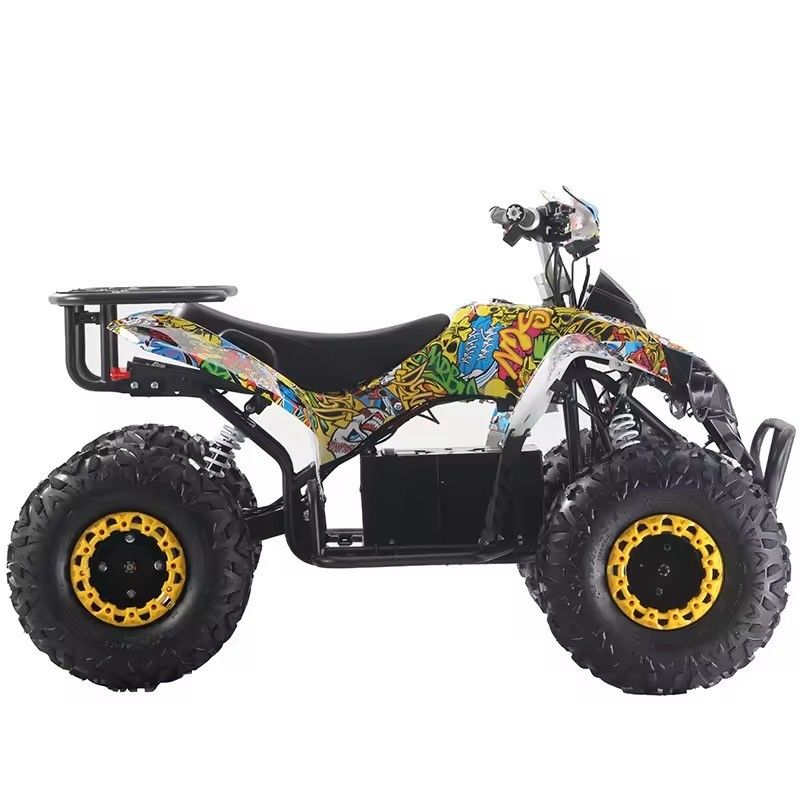 Colori personalizzati Quad ATV 1000W/1500W con freno a disco Ft Rr
