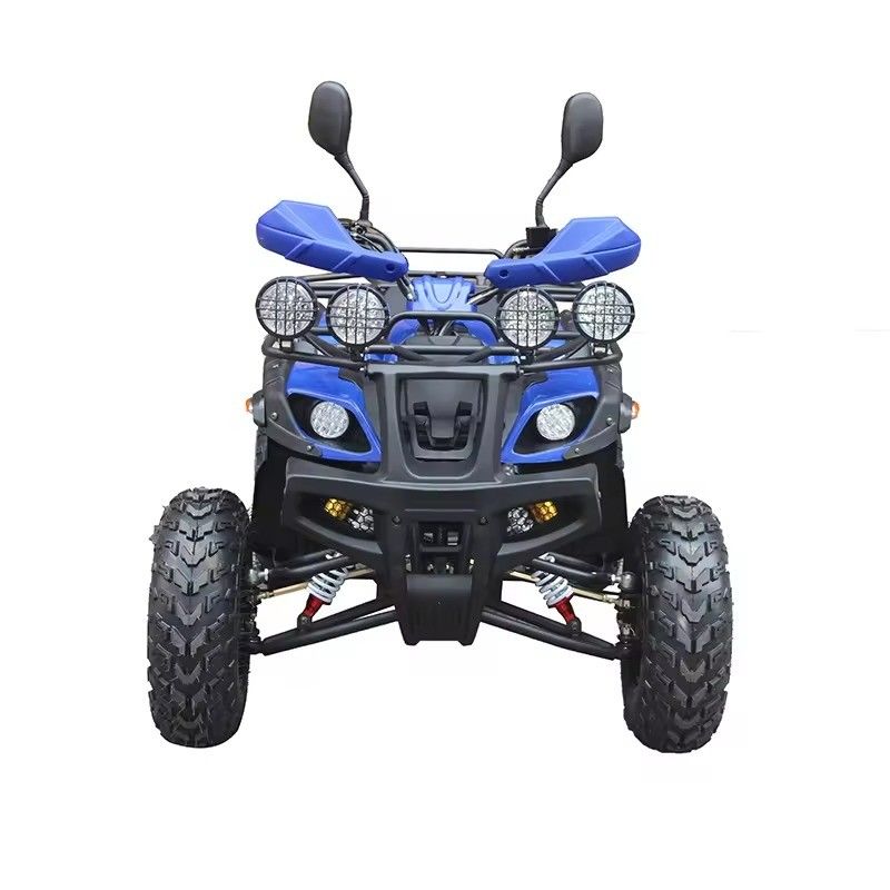 Torsione massima Nm ≤20Nm Quattro ruote off-road ATV Motore 250cc con passo 600-1000mm