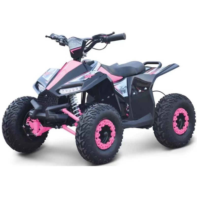 Torsione massima di 40-60Nm 1000W ATV elettrico side by side per prestazioni imbattibili