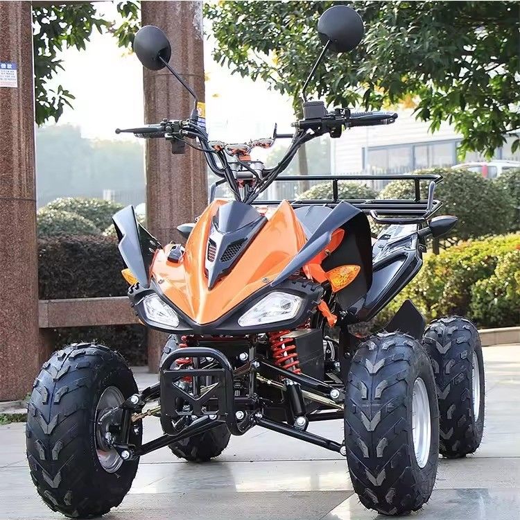 800w/1000w 48v/60v ATV Brushless Motor Electric 4 Wheel Quad Bike ATV per una guida fluida