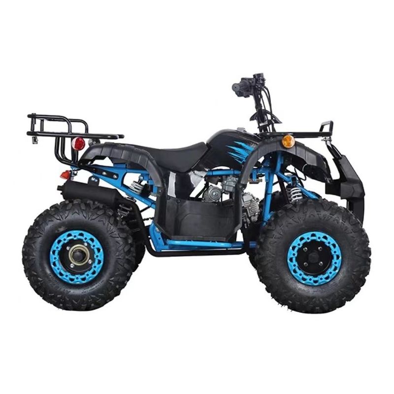 Certificato CE 110cc 125cc Big Power Farm Quad Bike per l'avventura all'aperto dei bambini